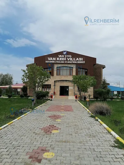 Van Kedisi Evi