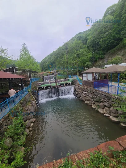 Zip Line