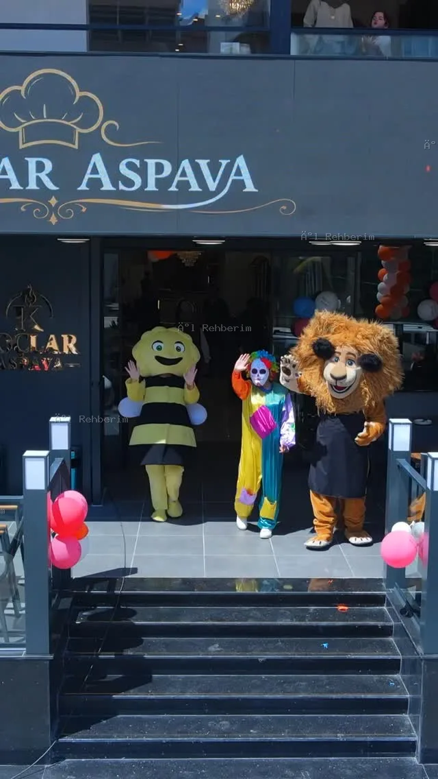 Koçlar Aspava