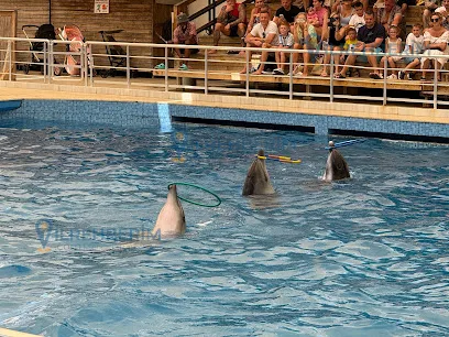 Dolphinarium Aquarium