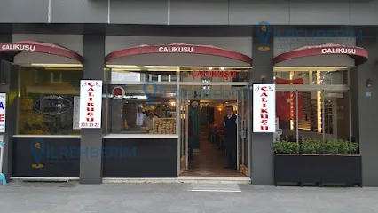 Çalıkuşu Döner