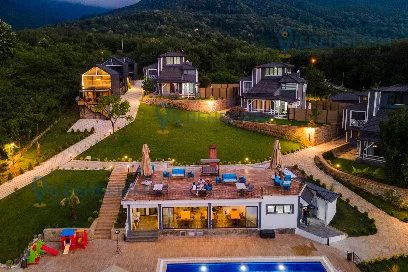 Alya Kartepe