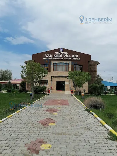 Van Kedisi Evi