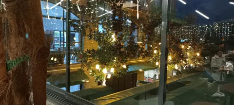 BAHÇE KONAĞI