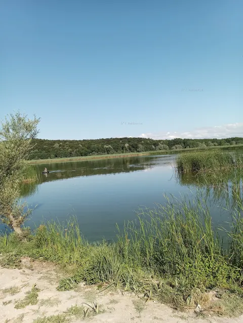 Söğütlü Akgöl
