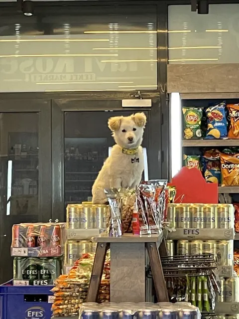 Mavi Köşe Tekel Bayi