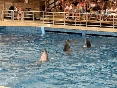 Dolphinarium Aquarium