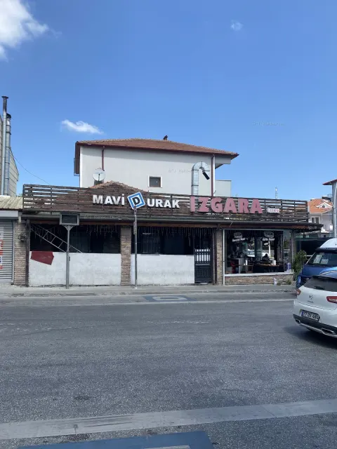 Mavi Durak Izgara
