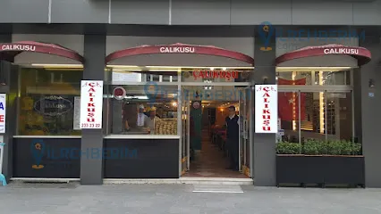Çalıkuşu Döner