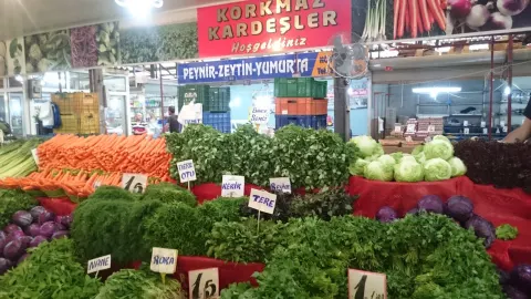 Kapalı Pazar Alanı